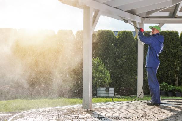 Best Spring Cleaning  in Farngton Hills, MI