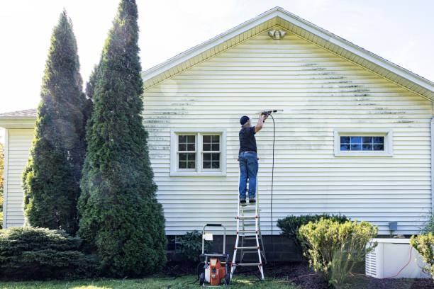 Best Solar Panel Cleaning  in Farngton Hills, MI